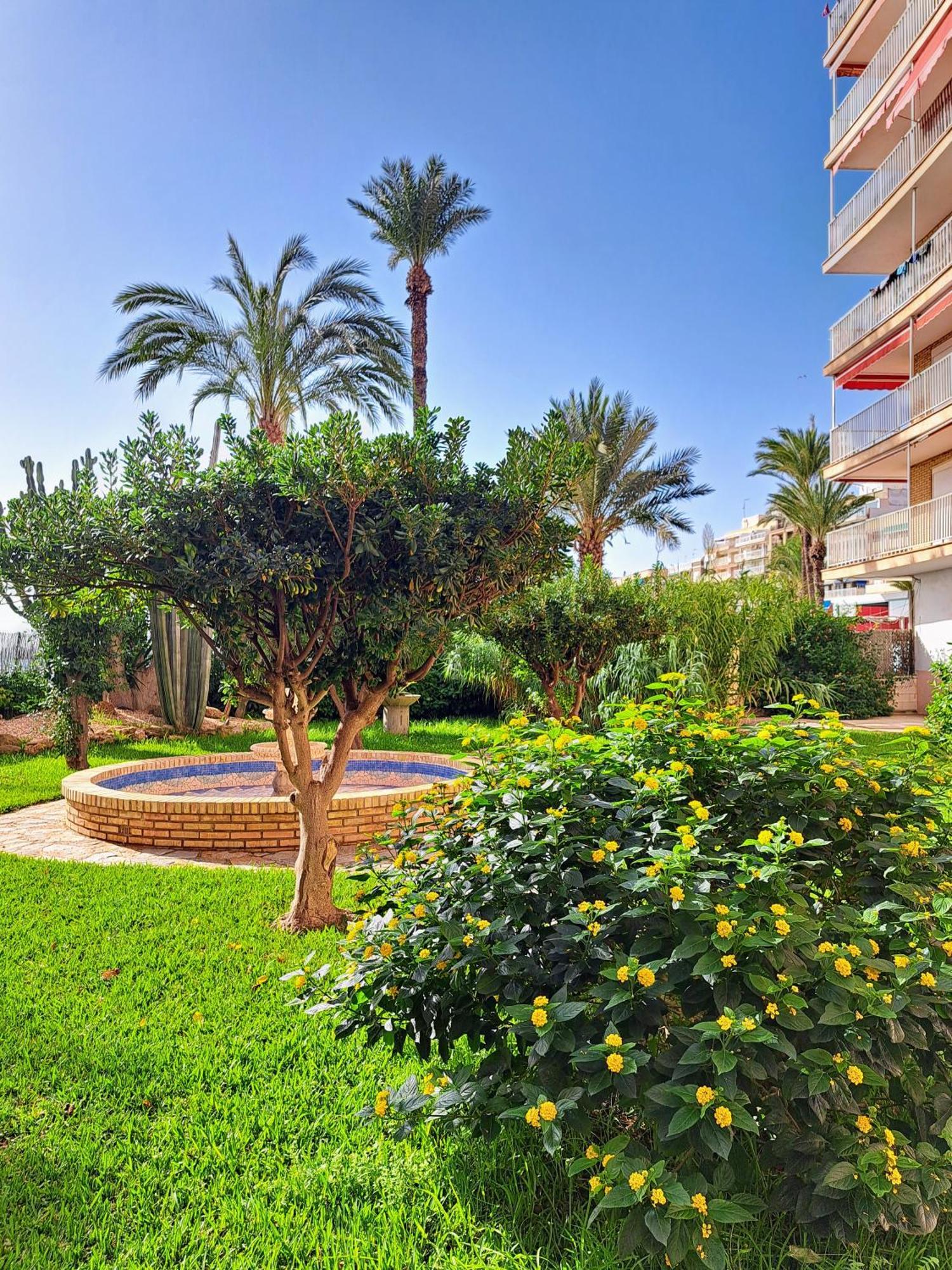 Garden Beach Apartment Torrevieja Eksteriør billede