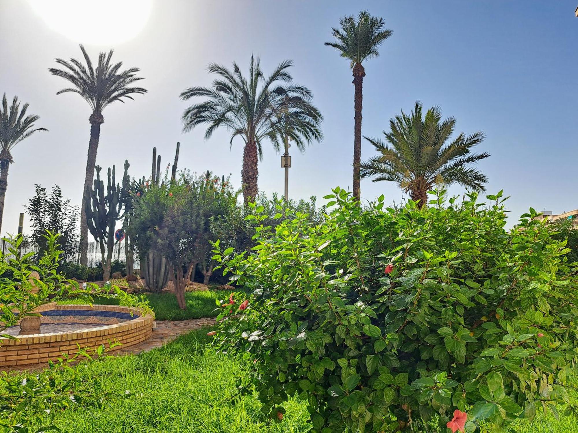 Garden Beach Apartment Torrevieja Eksteriør billede
